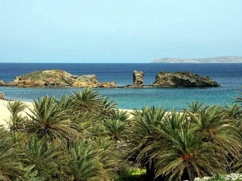 Vai, Palm Beach, Lassithi, East Crete