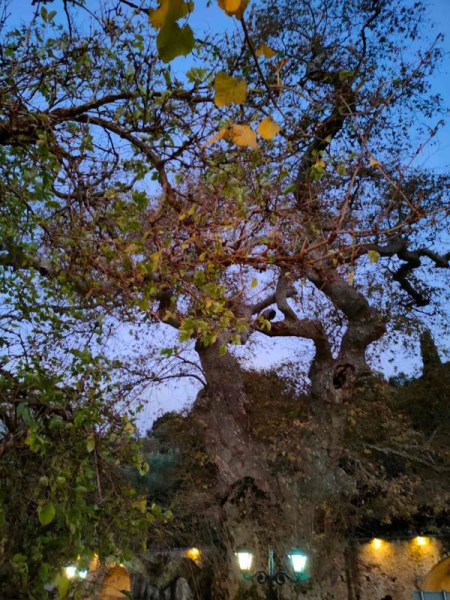 Lassithi Plateau, Crete